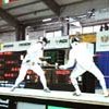 fencingworld35
